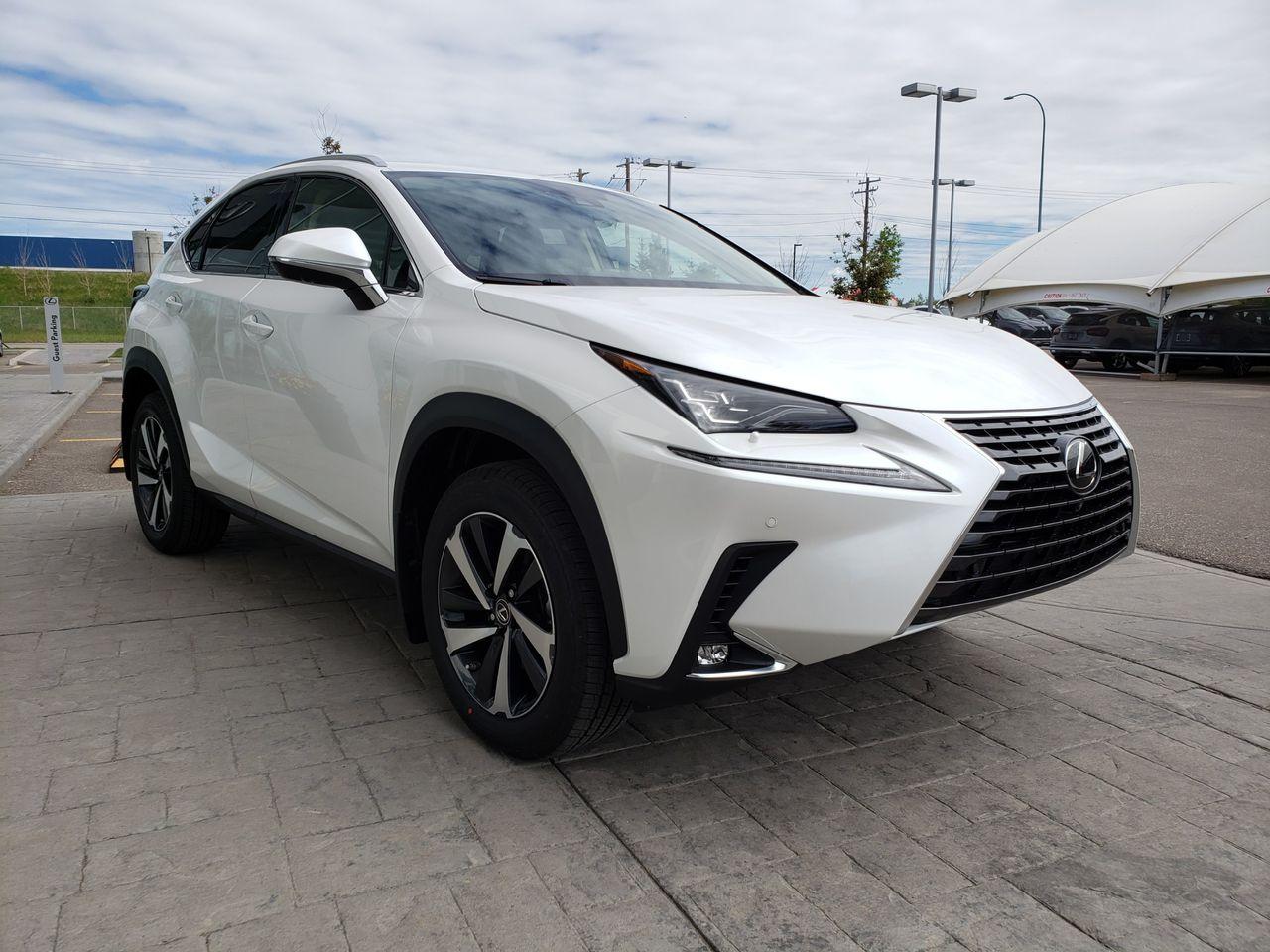 2021 Lexus NX 300 LUXURY-4
