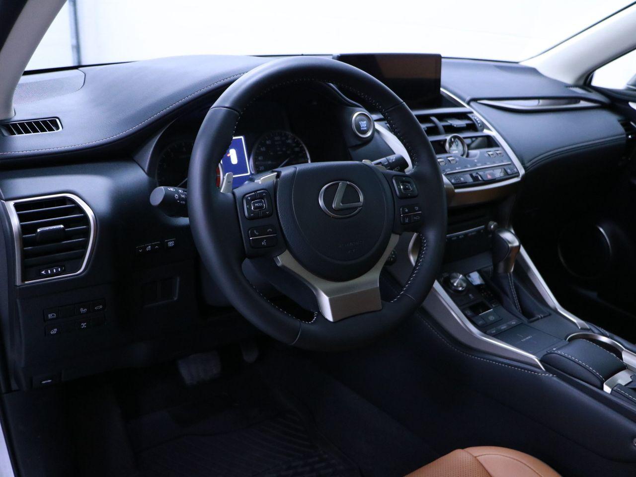2021 Lexus NX 300 LUXURY-2