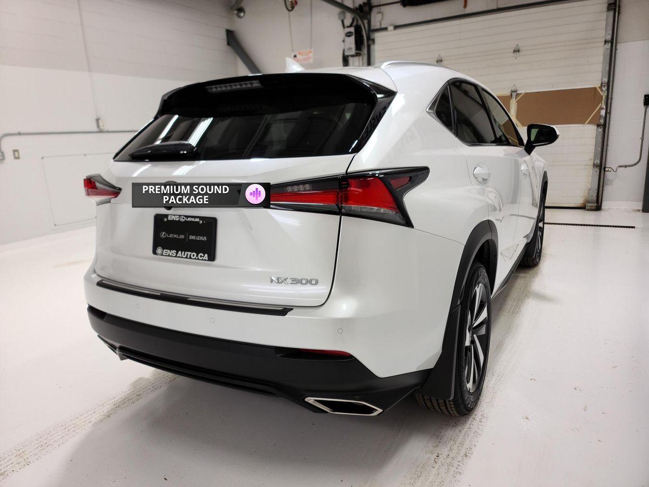 2021 Lexus NX 300 LUXURY-3