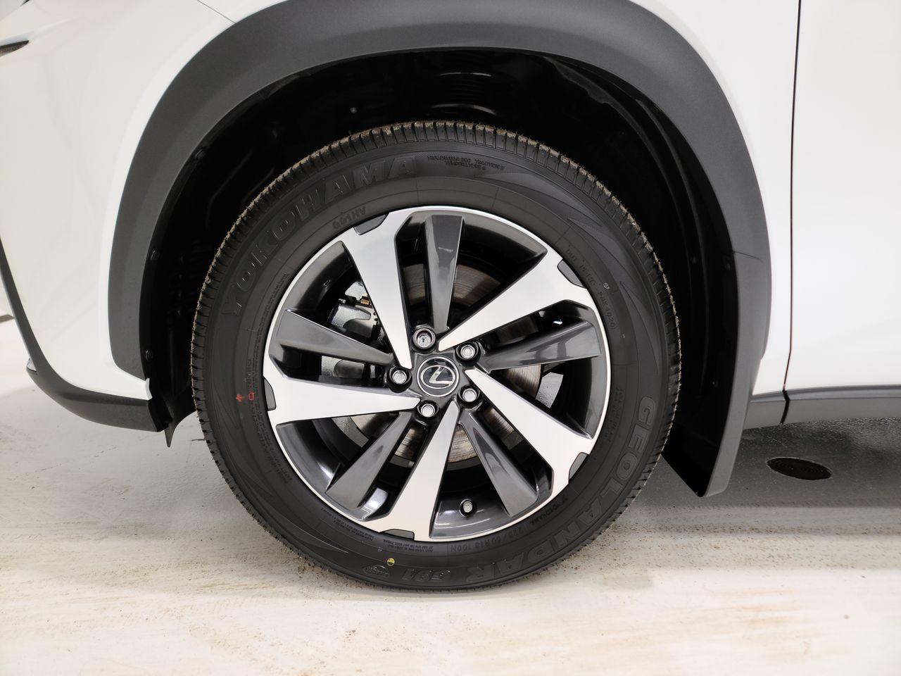 2021 Lexus NX 300 LUXURY-4