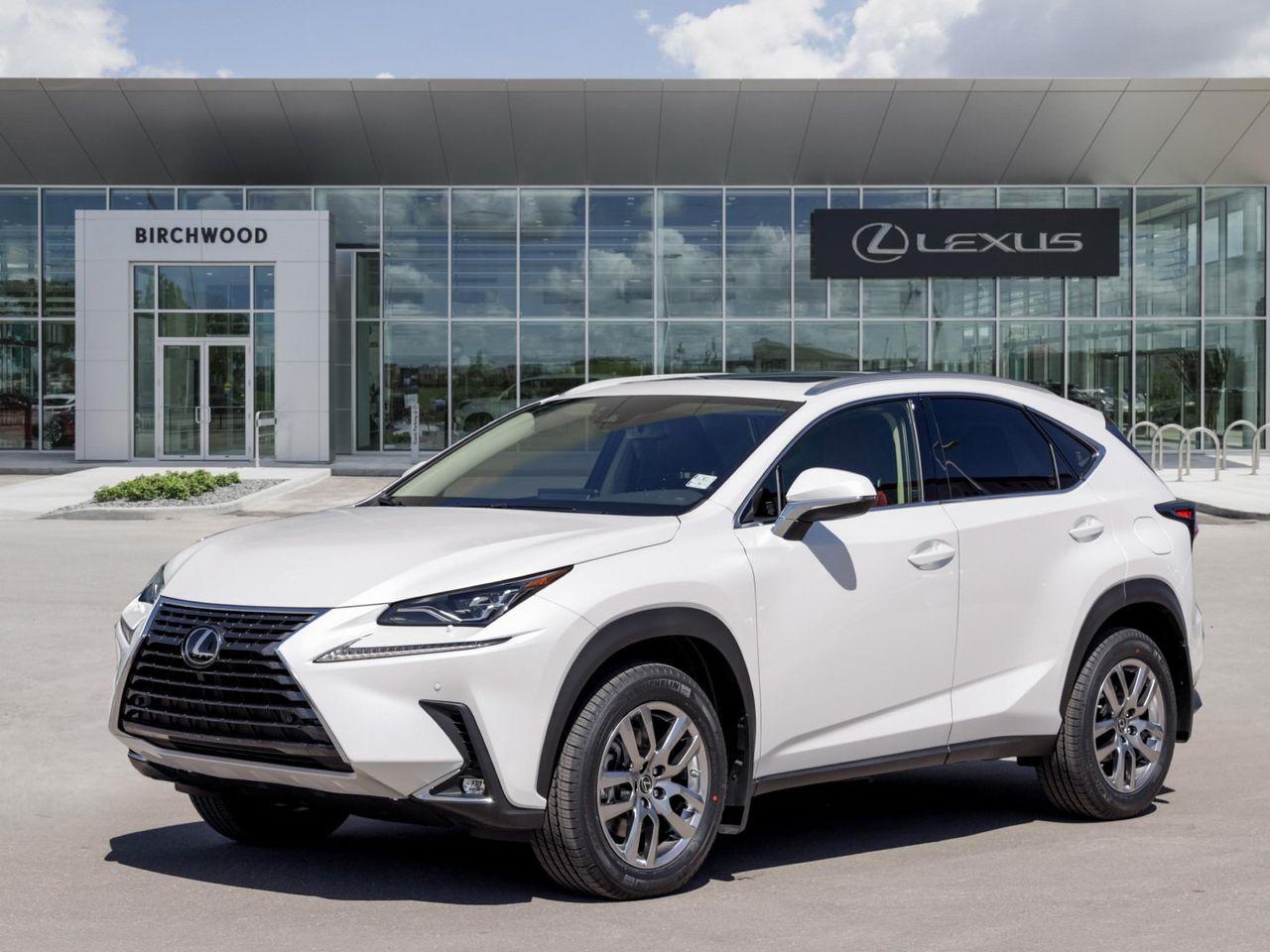 2021 Lexus NX 300 Luxury-0