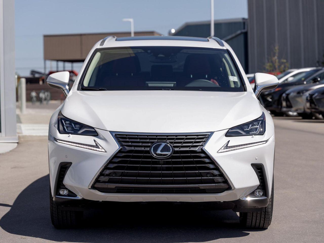 2021 Lexus NX 300 Luxury-1