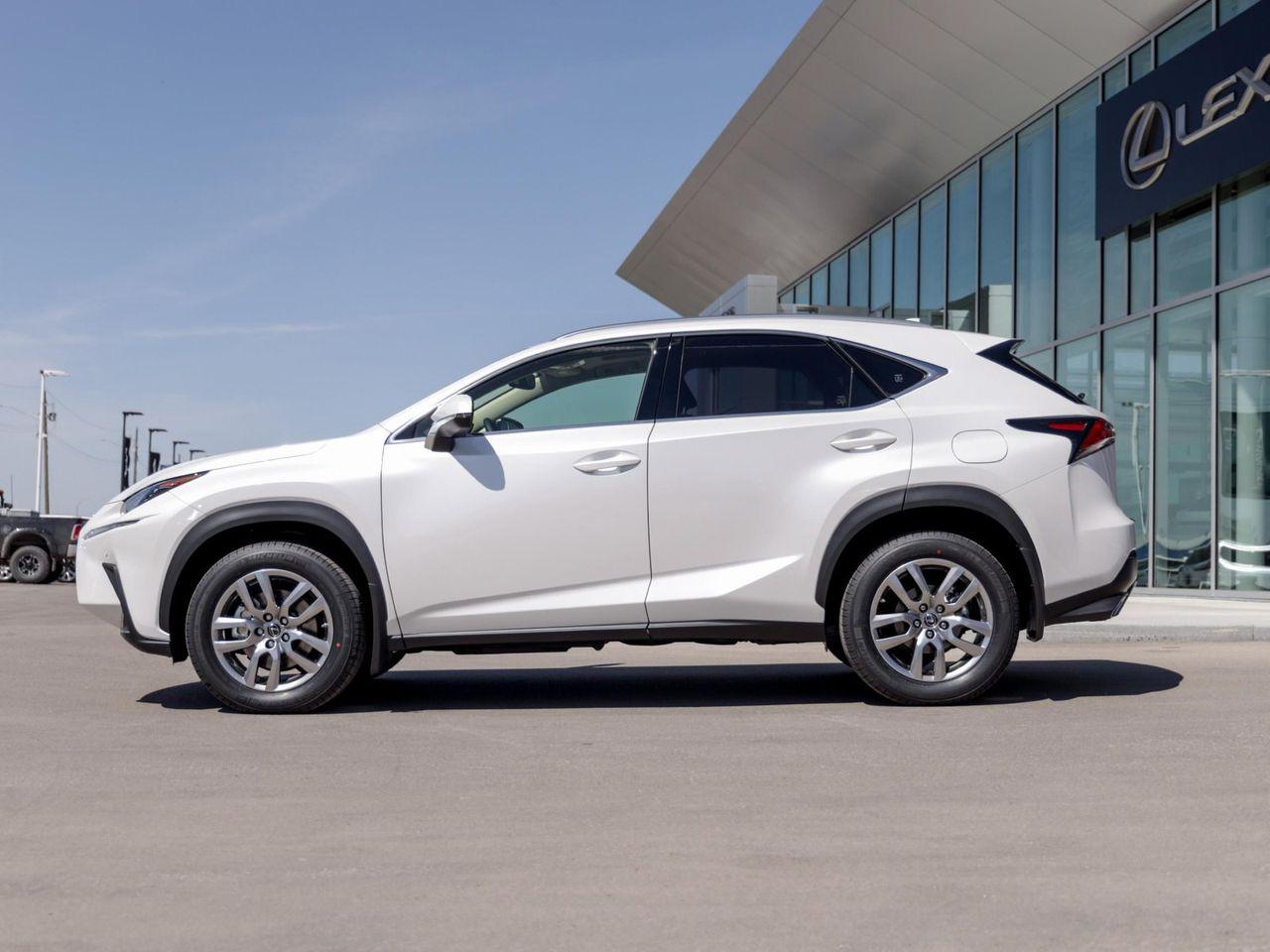 2021 Lexus NX 300 Luxury-2