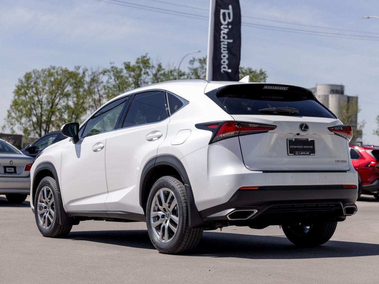2021 Lexus NX 300 Luxury-3