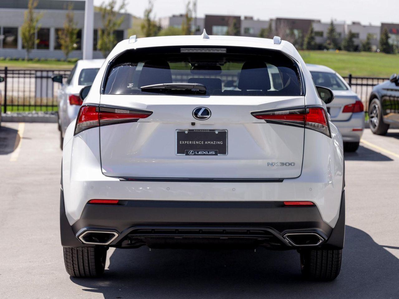 2021 Lexus NX 300 Luxury-4