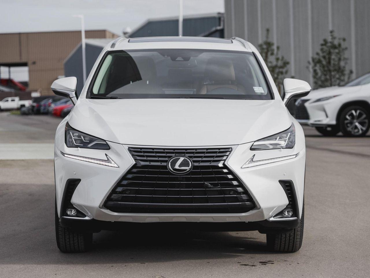 2021 Lexus NX 300 Luxury-1
