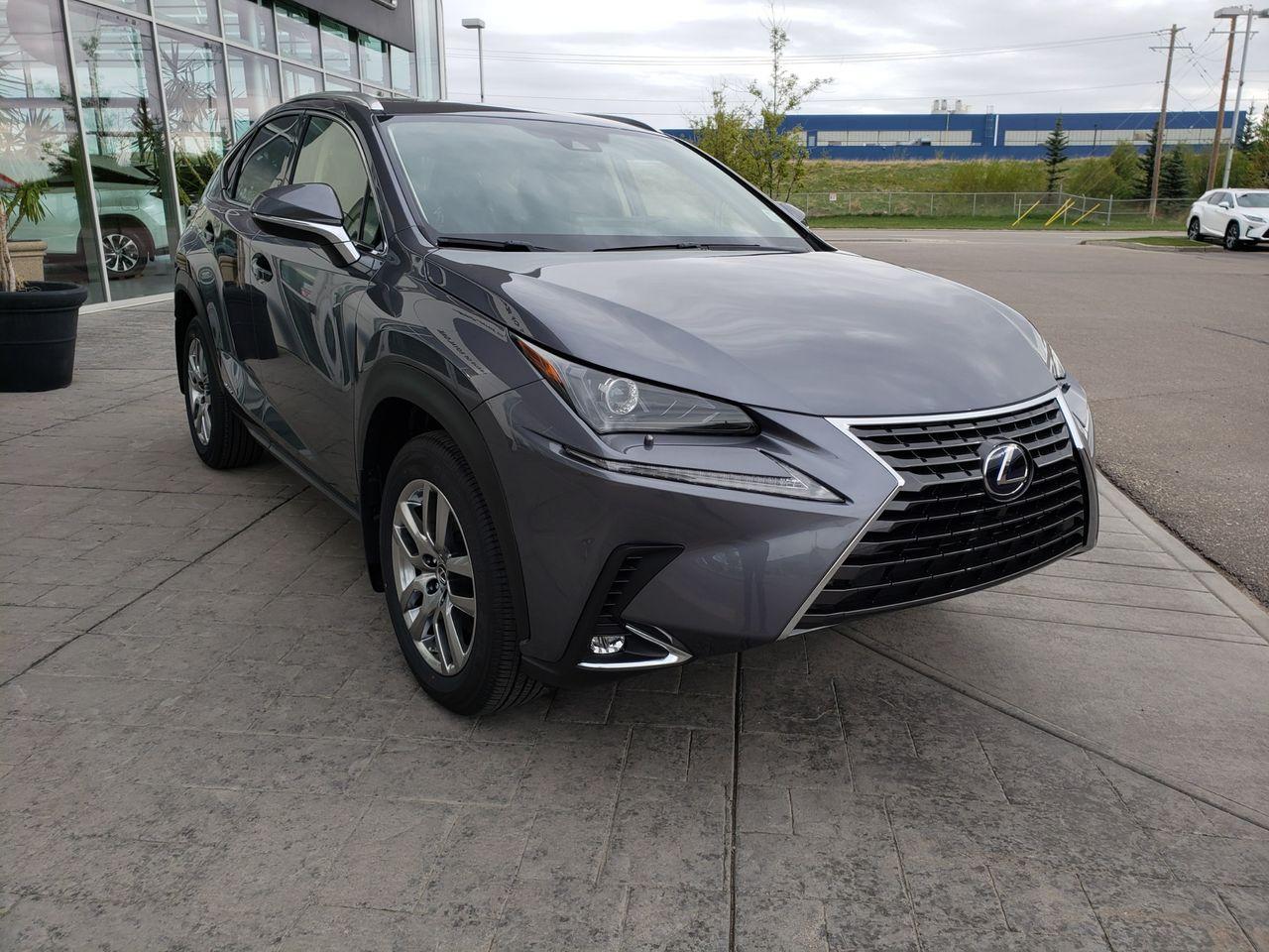 2021 Lexus NX 300h Base-4