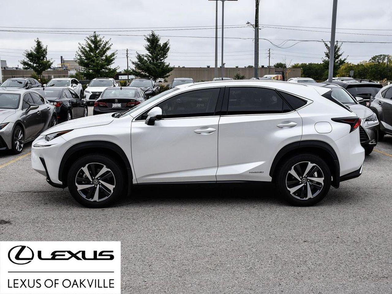 2021 Lexus NX 300h Base-2