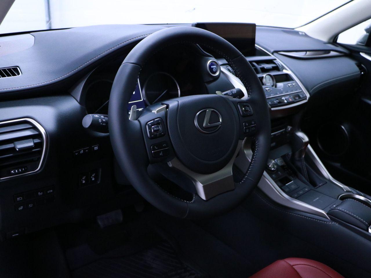 2021 Lexus NX 300h LUXURY-2