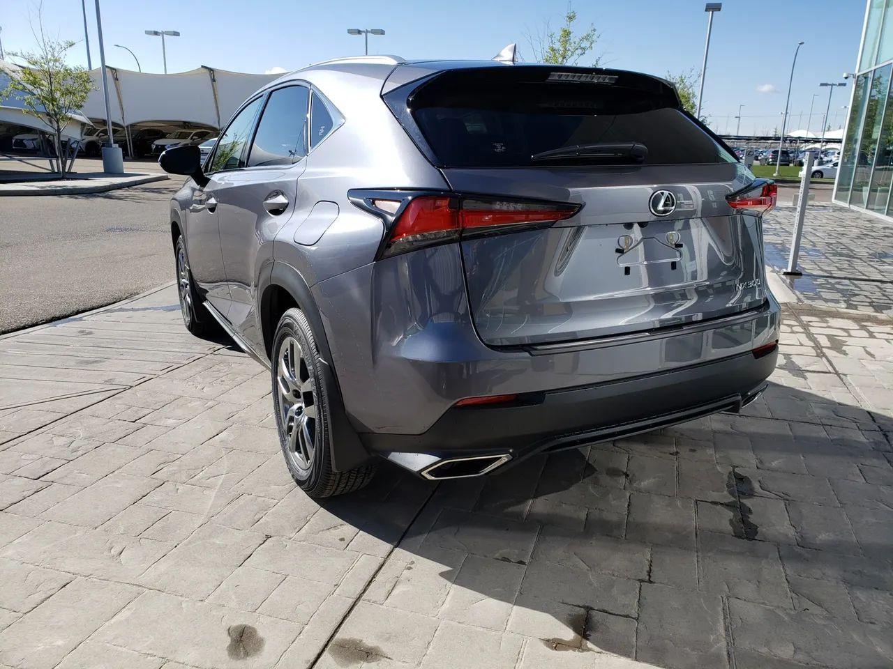 2021 Lexus NX 300 Base-2