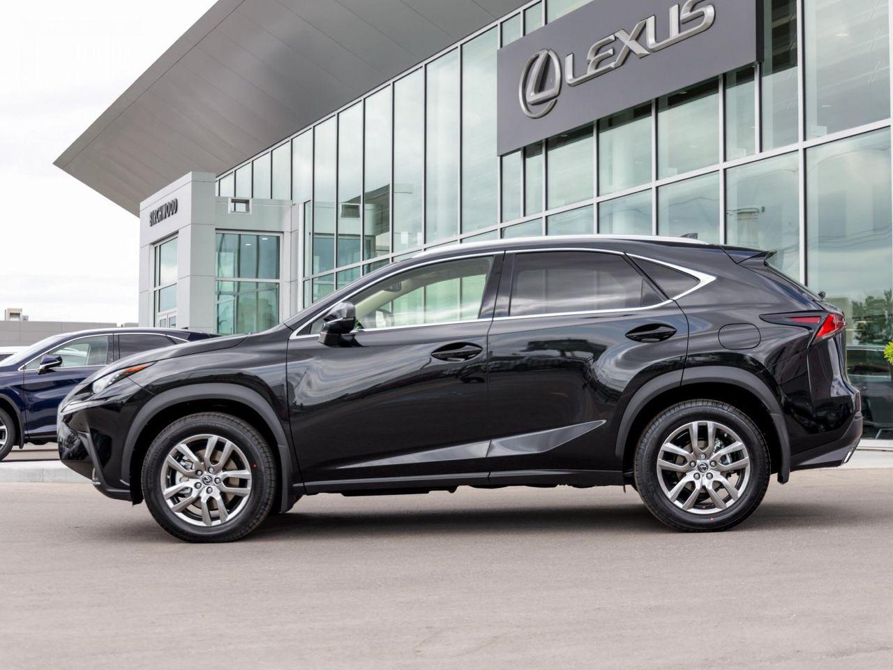 2021 Lexus NX 300 Luxury-2