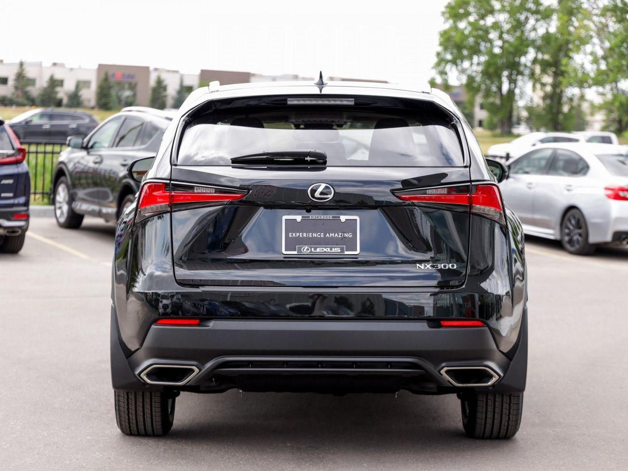 2021 Lexus NX 300 Luxury-4