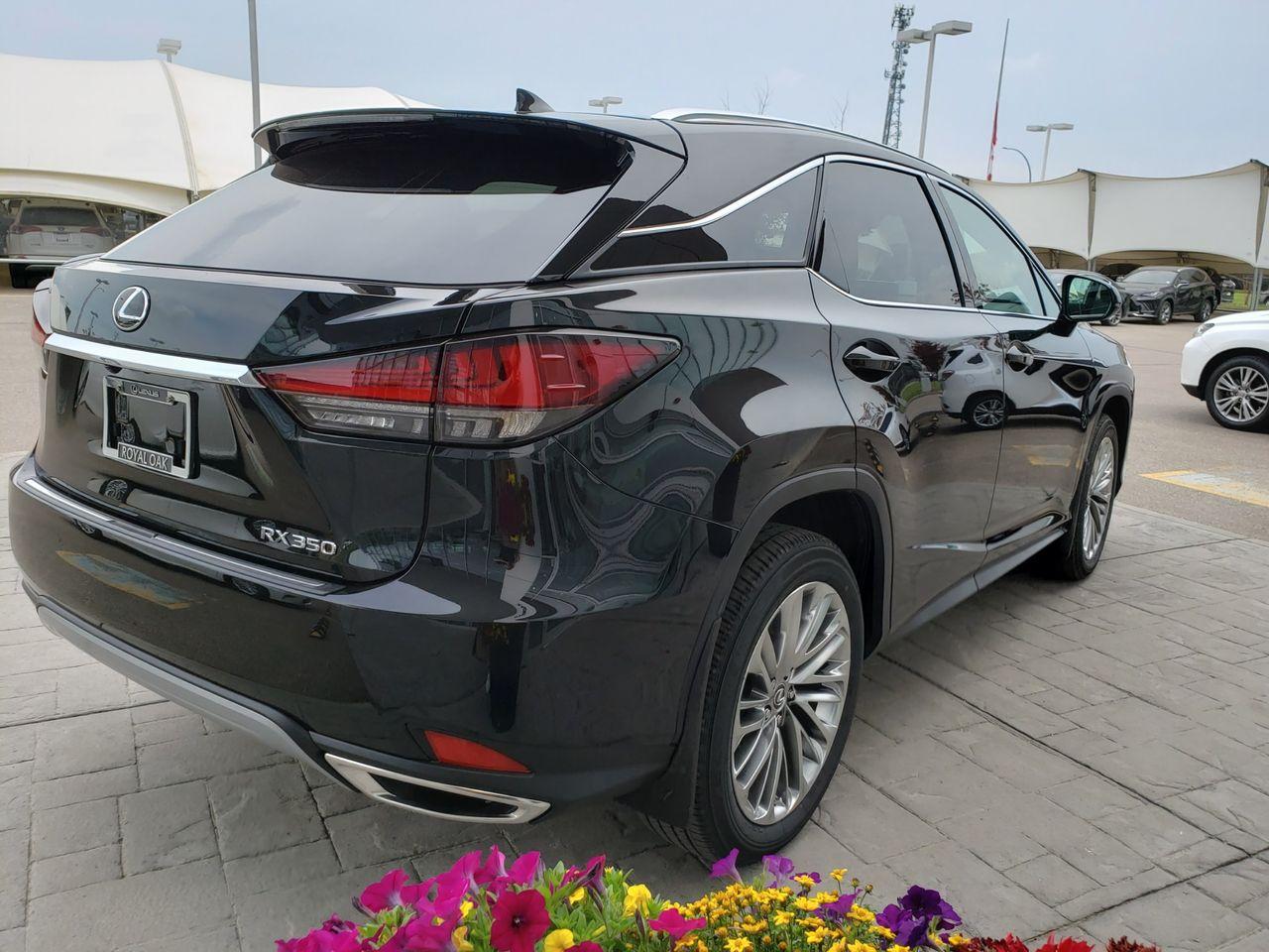 2021 Lexus RX 350 LUXURY-3