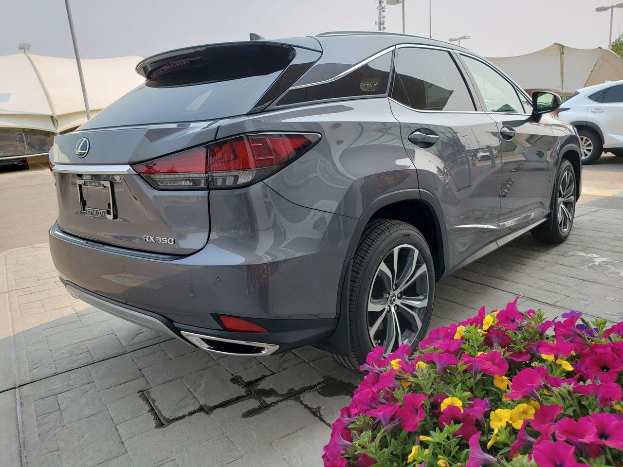 2021 Lexus RX LUXURY-3