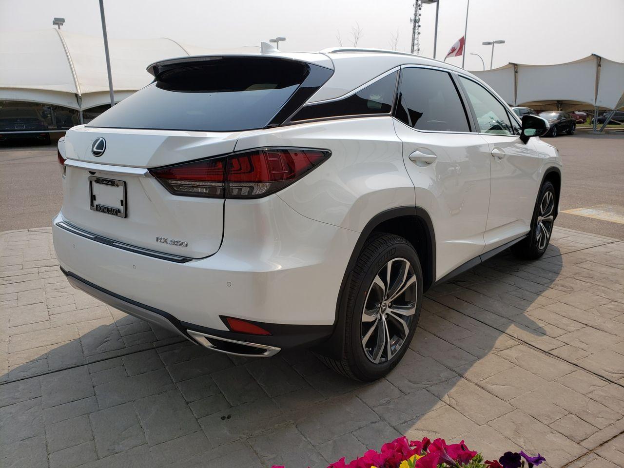 2021 Lexus RX LUXURY-3