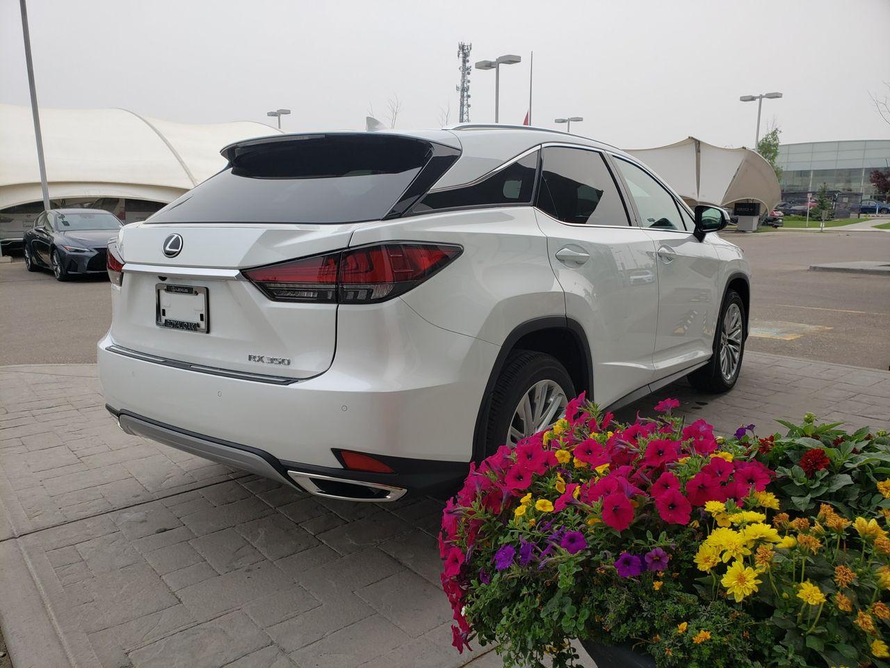 2021 Lexus RX LUXURY-3