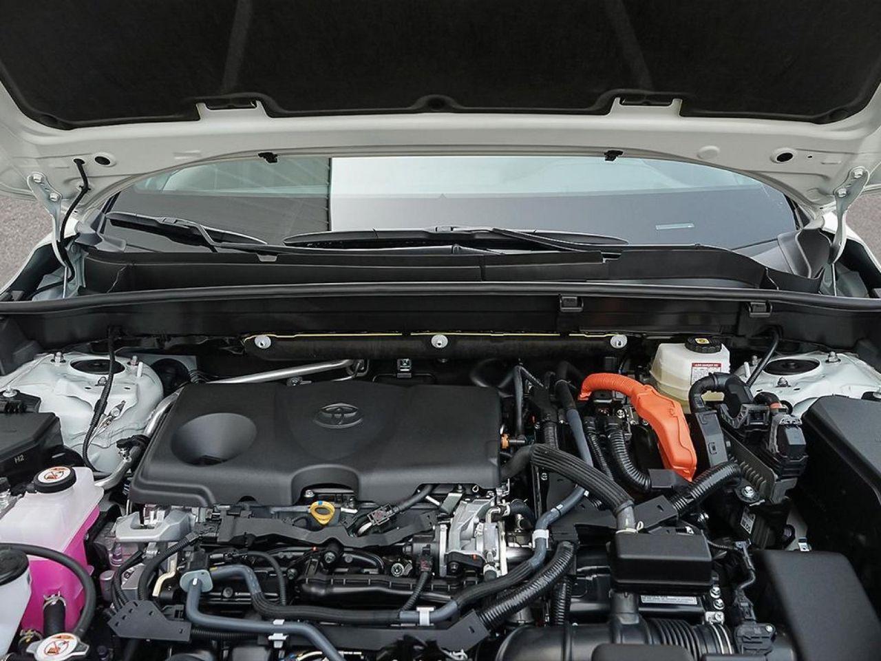2021 Toyota Venza Limited-4